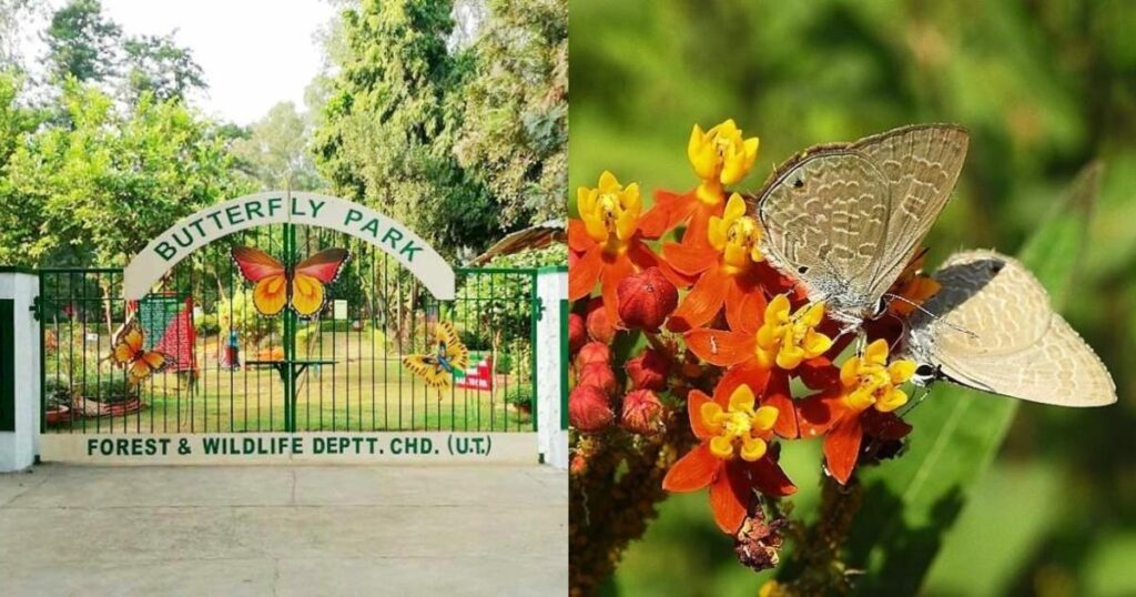 butterfly park delhi