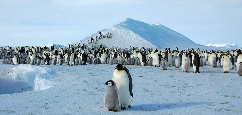 places to visit in antarctica 