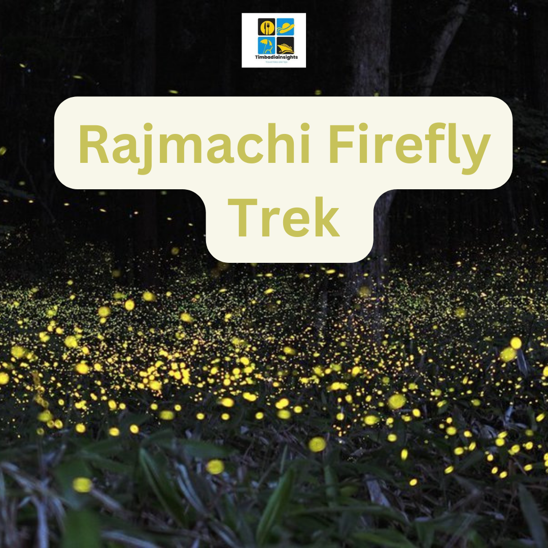 Rajmachi Firefly Trek – A Magical Escape Under the Stars
